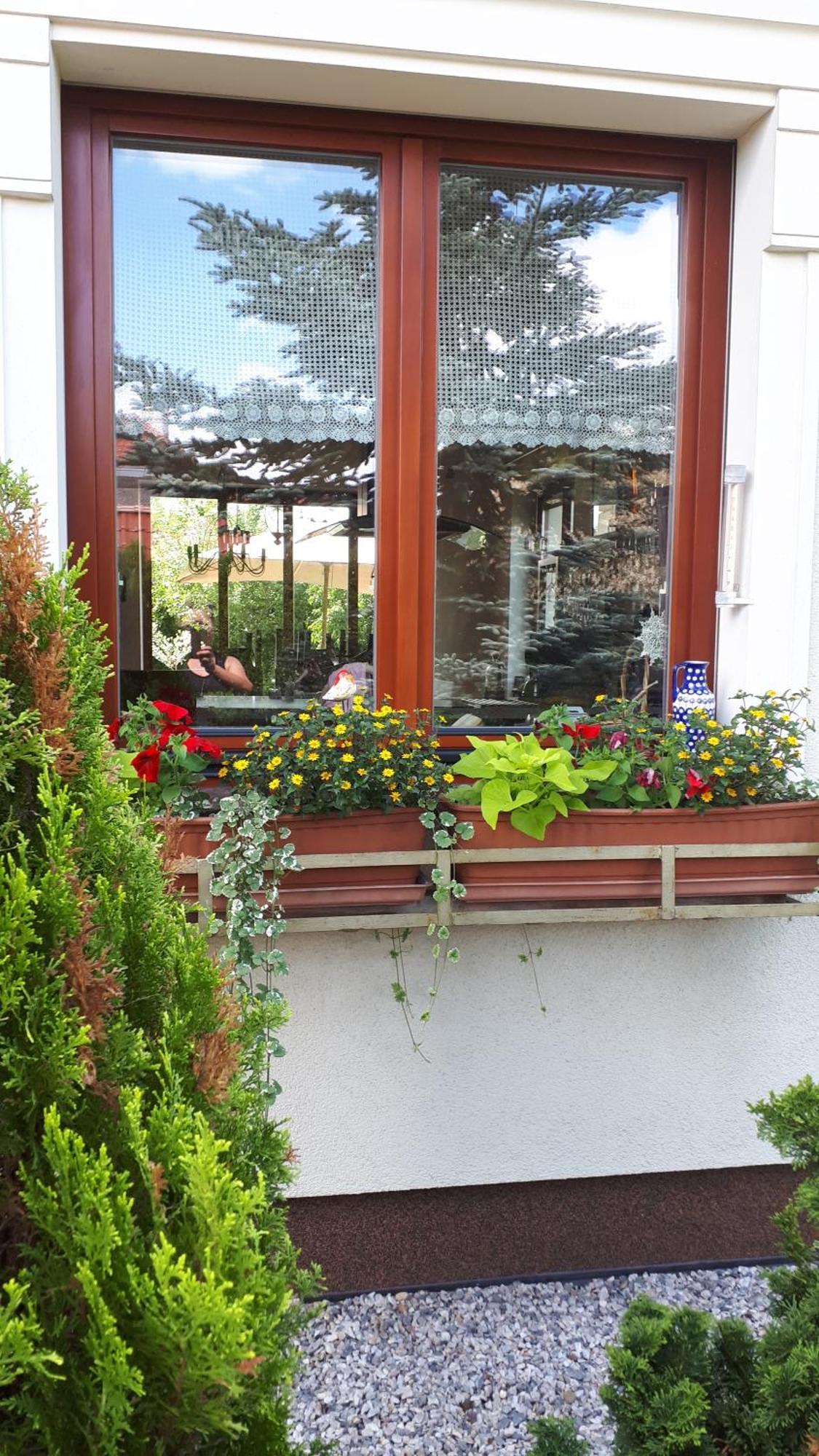 Sloneczny Homestay *